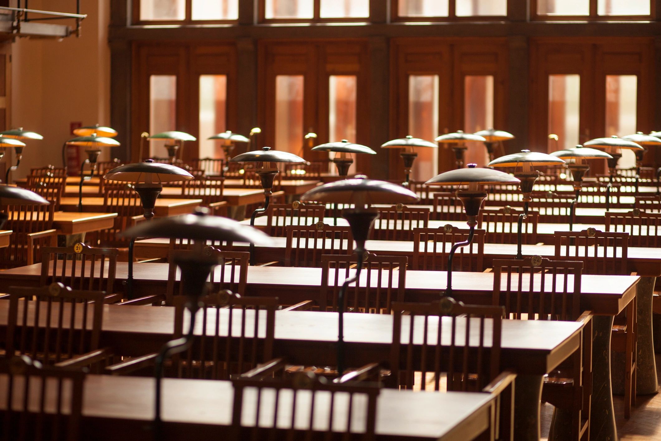 Quiet university library reading room with warm natural light